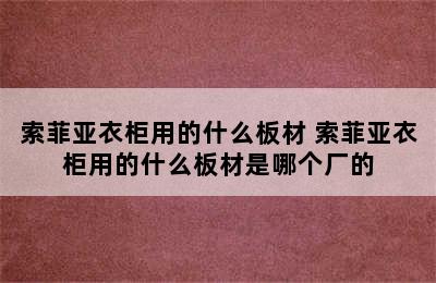 索菲亚衣柜用的什么板材 索菲亚衣柜用的什么板材是哪个厂的